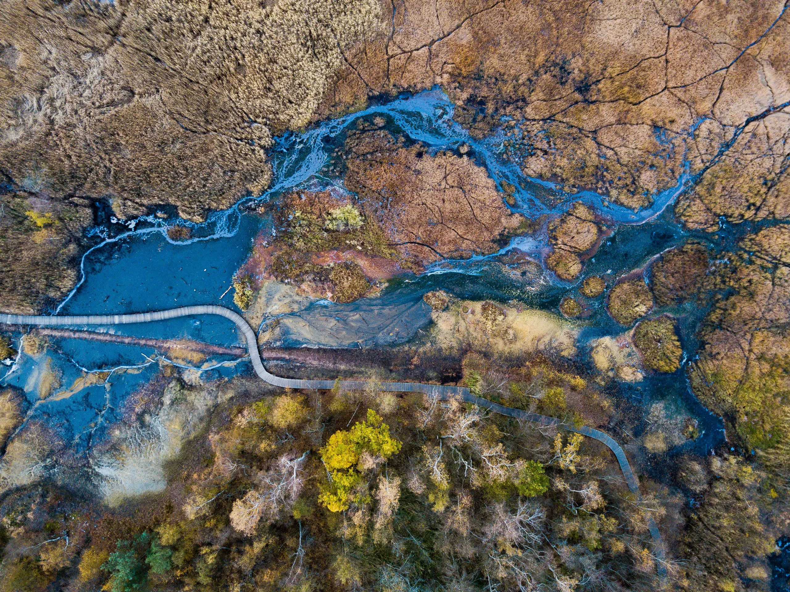The SOOS reserve from straight above, blue pools in the peat bog and a wooden walkway
