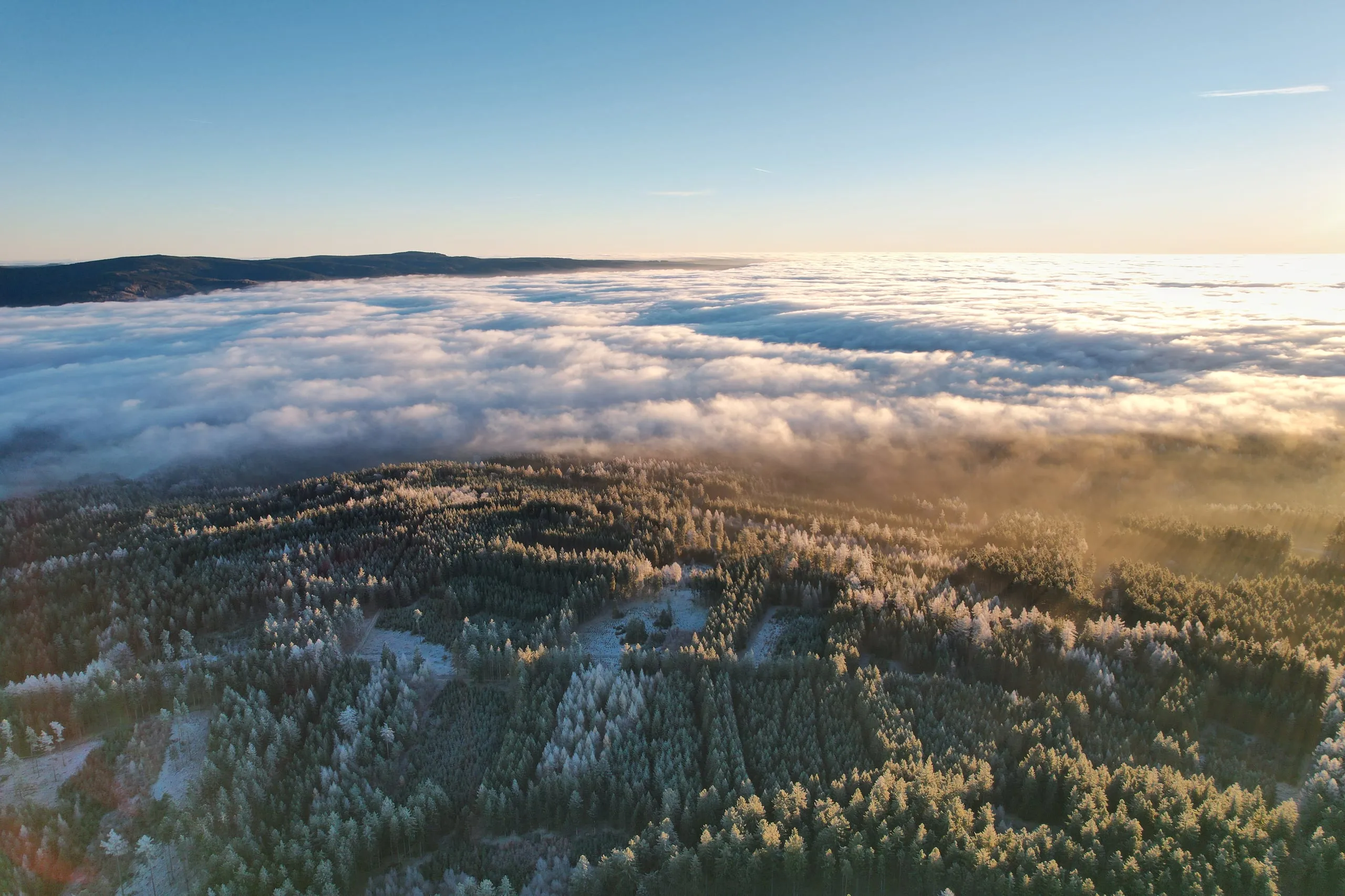 A wooded ridge above an unbroken layer of cloud