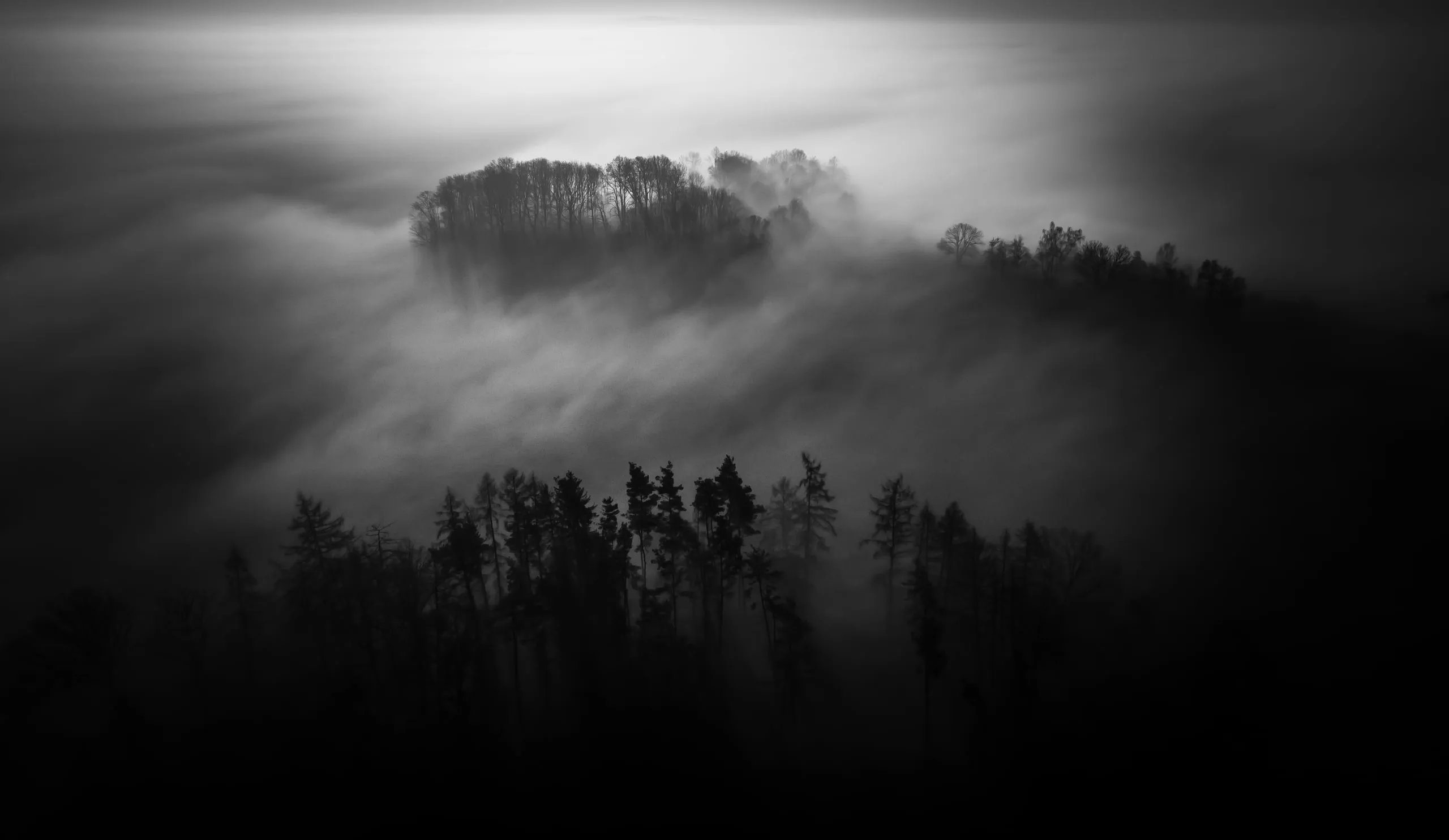 Black and white, islands of forest rising out of the fog
