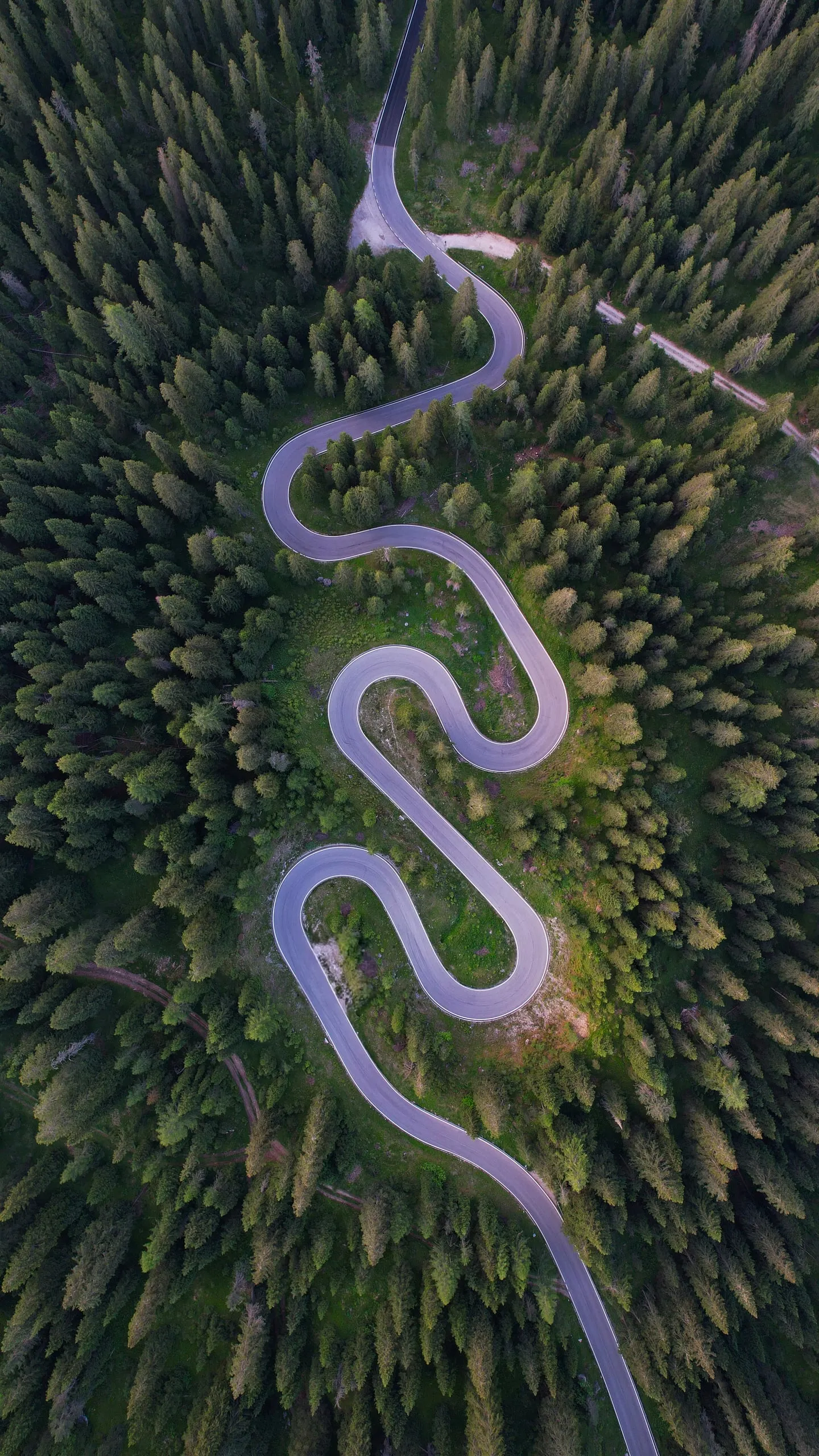 The hairpin bends of the road up Passo Giau in a spruce forest, from straight above