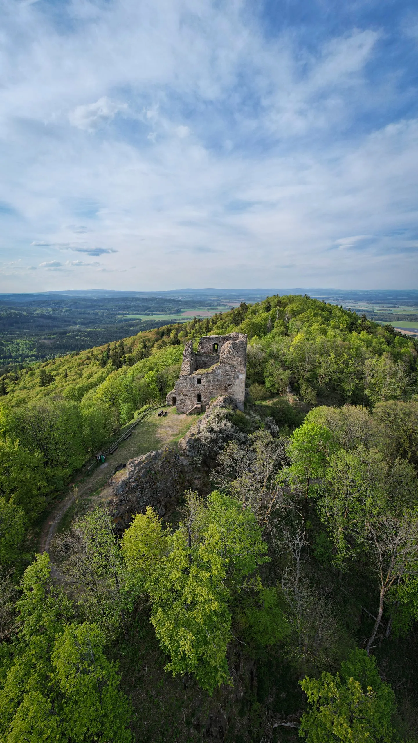 The remains of Přimda Castle on a rocky hilltop above a spring forest
